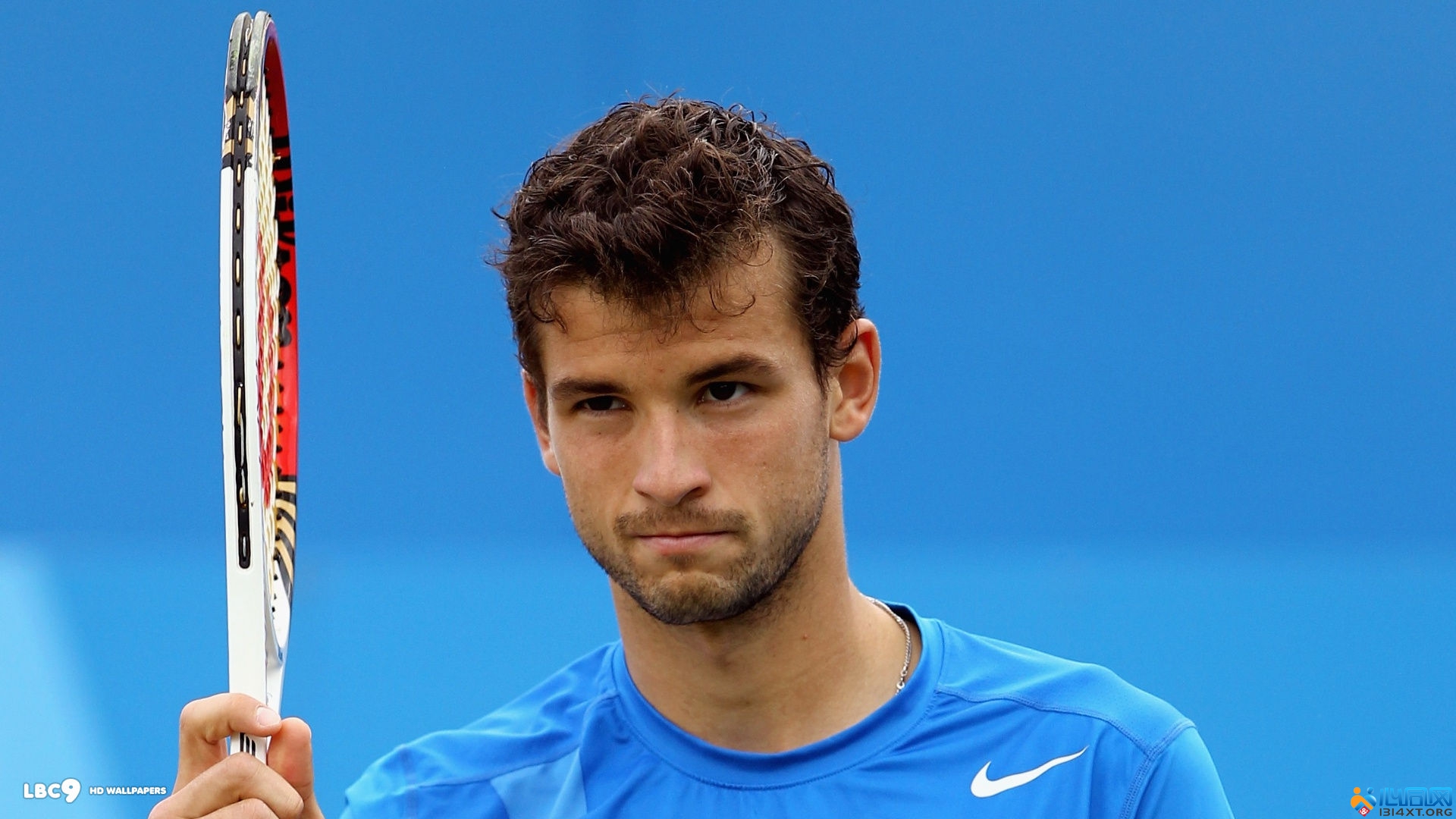 领域崭露头 领域崭露头